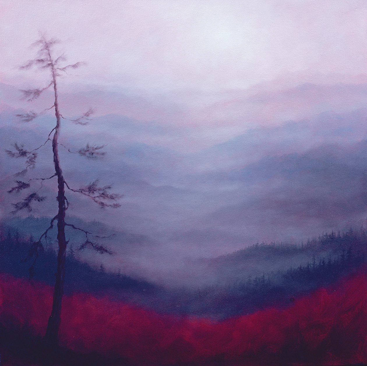 Alpine Pink, 2007 de Lee Campbell