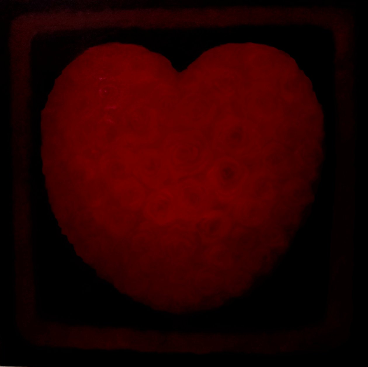 Grande amor, 2021 de Lee Campbell