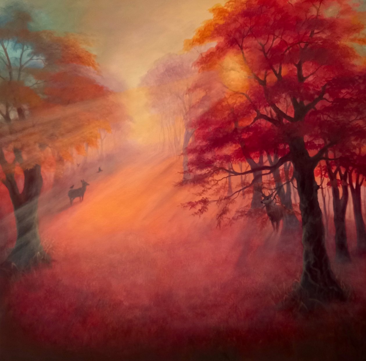 Luz do Parque, 2021 de Lee Campbell