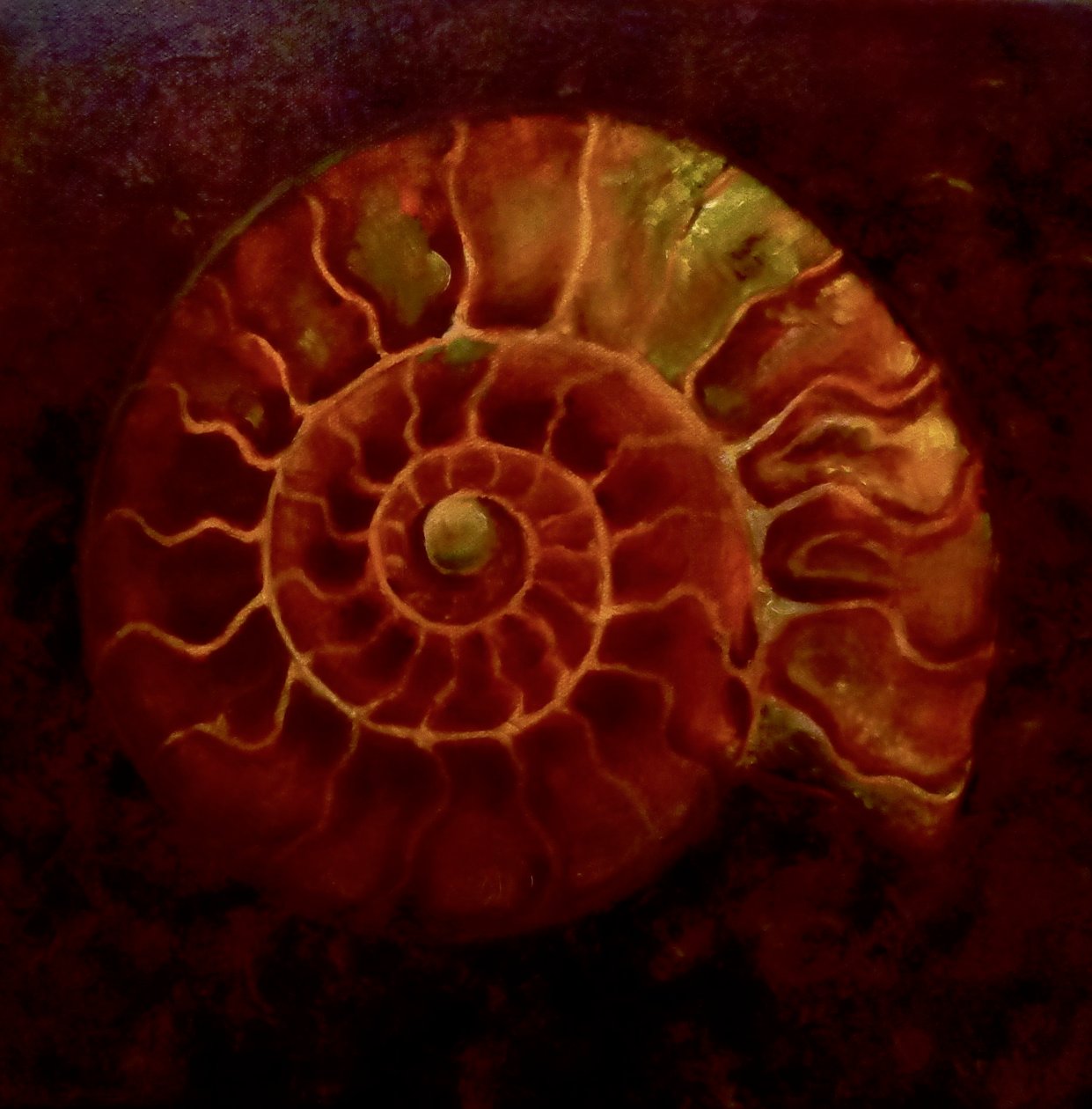 Amonite vermelha/ouro, 2020 de Lee Campbell
