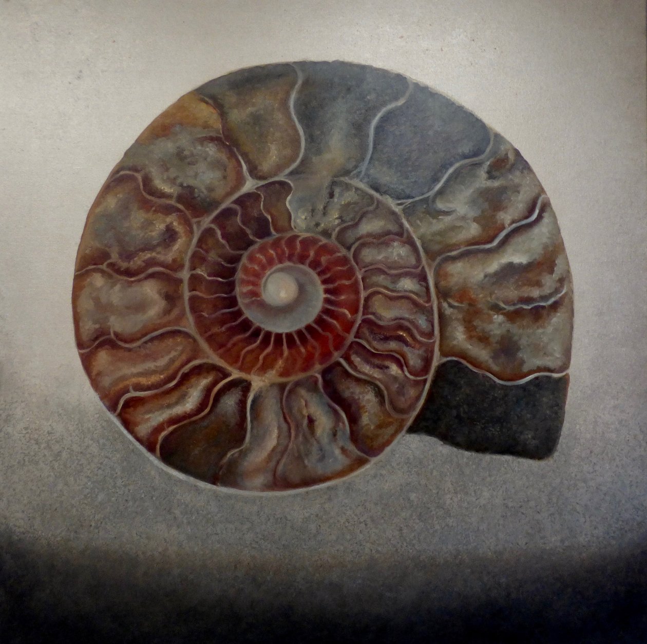 Amonite de prata, 2024 (óleo sobre tela) de Lee Campbell