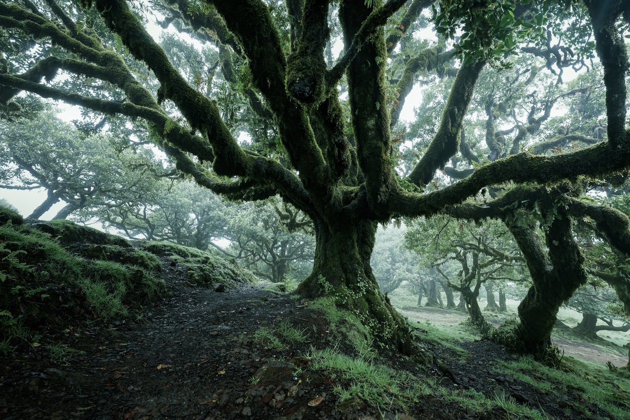 Forgotten Land II, 2025 (foto) de Lee Cooper