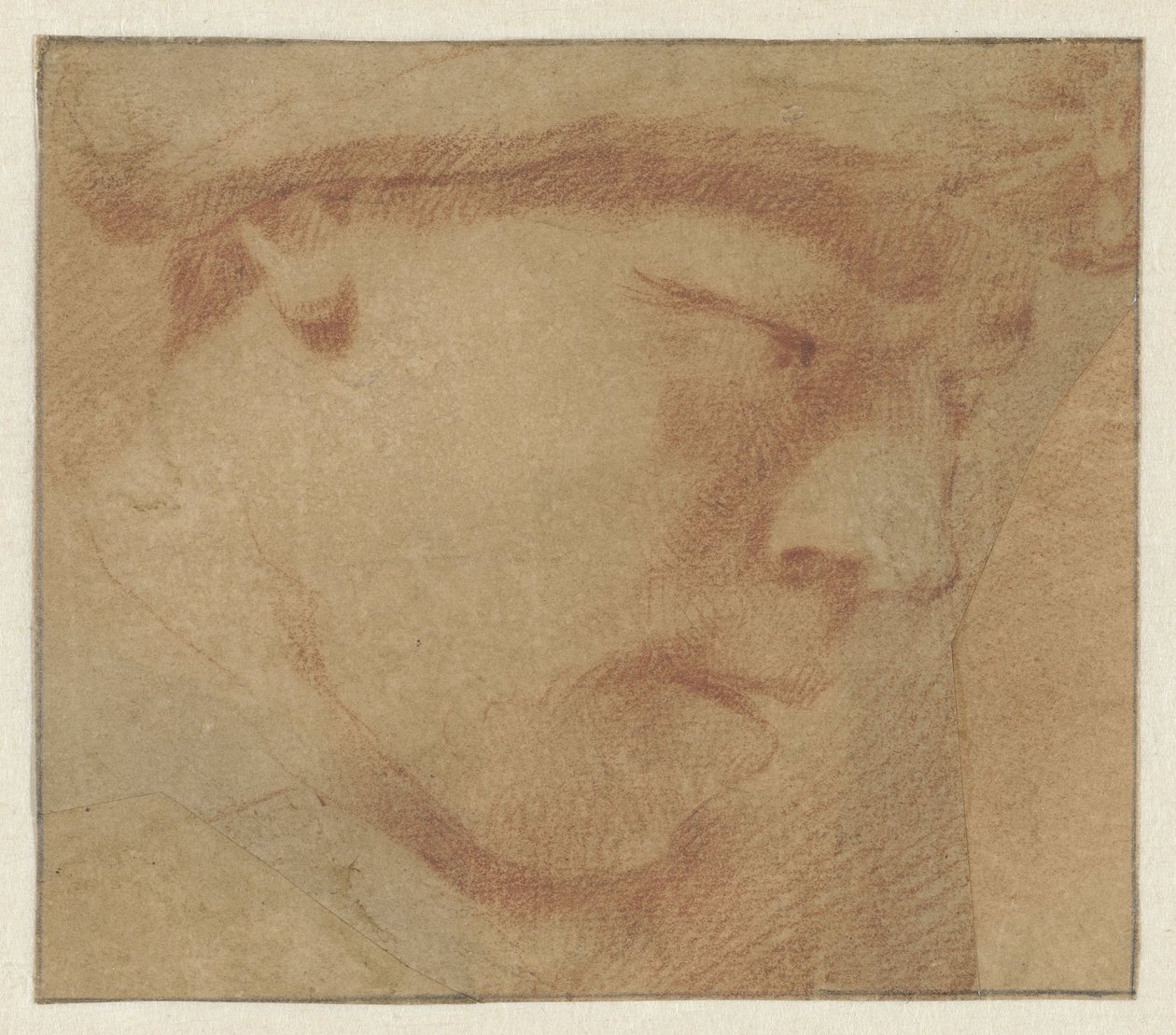 Cabeça de um rapaz, à direita de Leendert van der Cooghen (manner of)