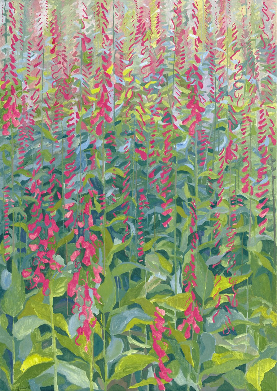 Foxgloves, 2014 de Leigh Glover