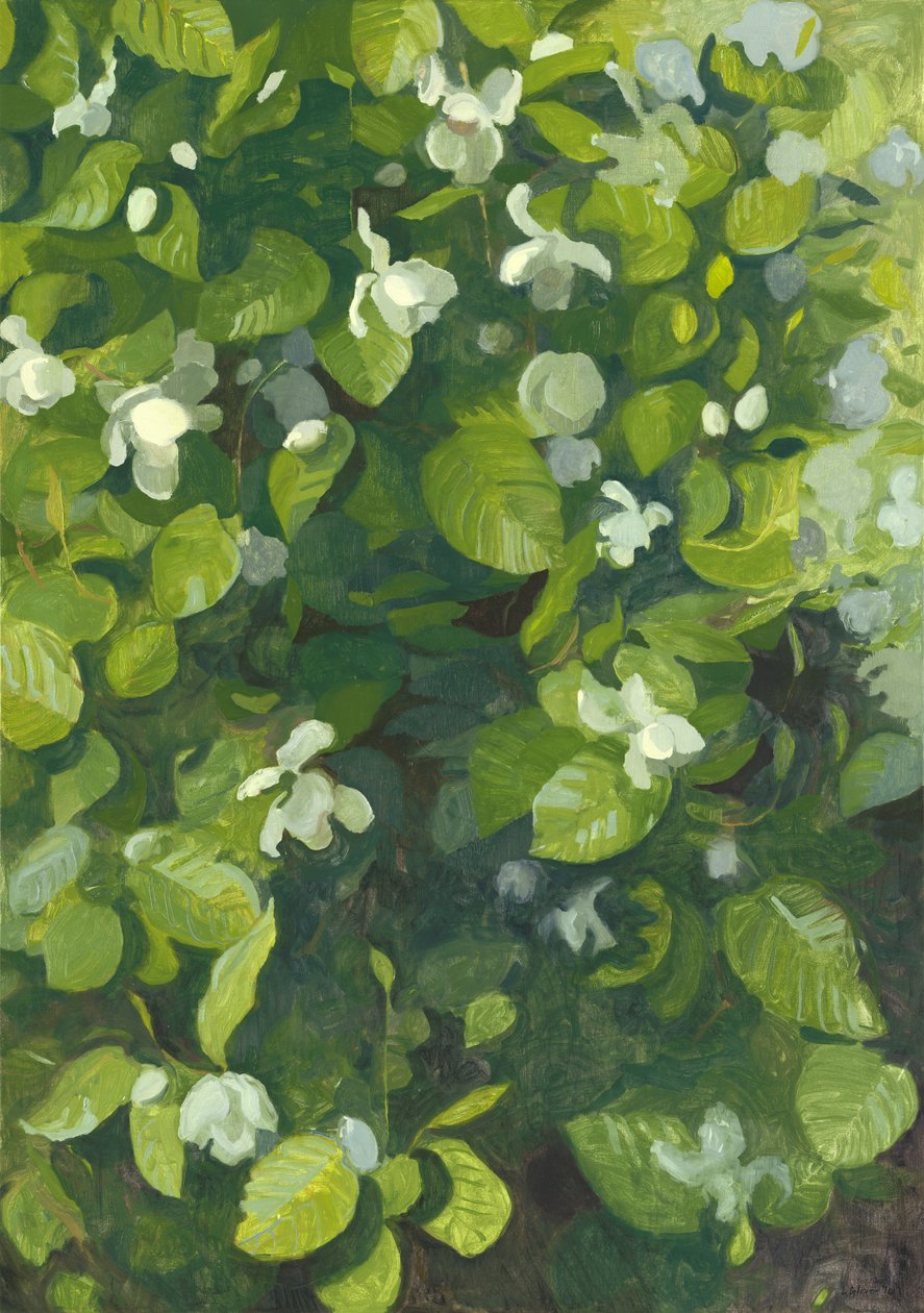 Magnólia em flor, 2014 de Leigh Glover