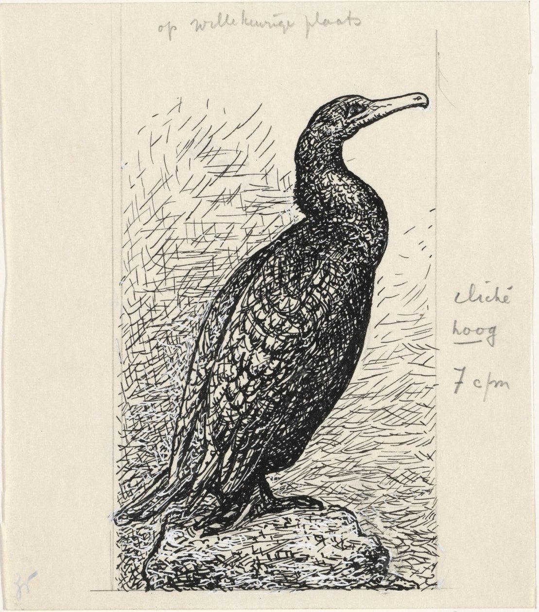 Cormorant de Leo Gestel
