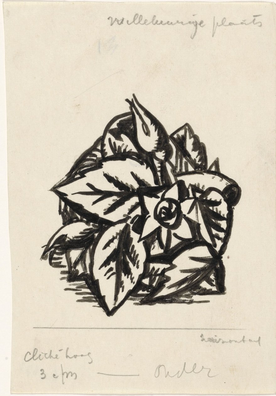 Flores de Leo Gestel