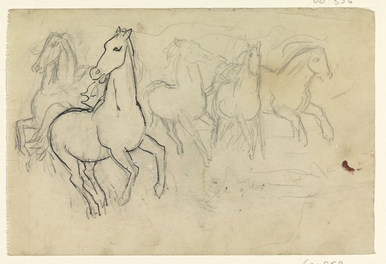 Cavalos galopando de Leo Gestel