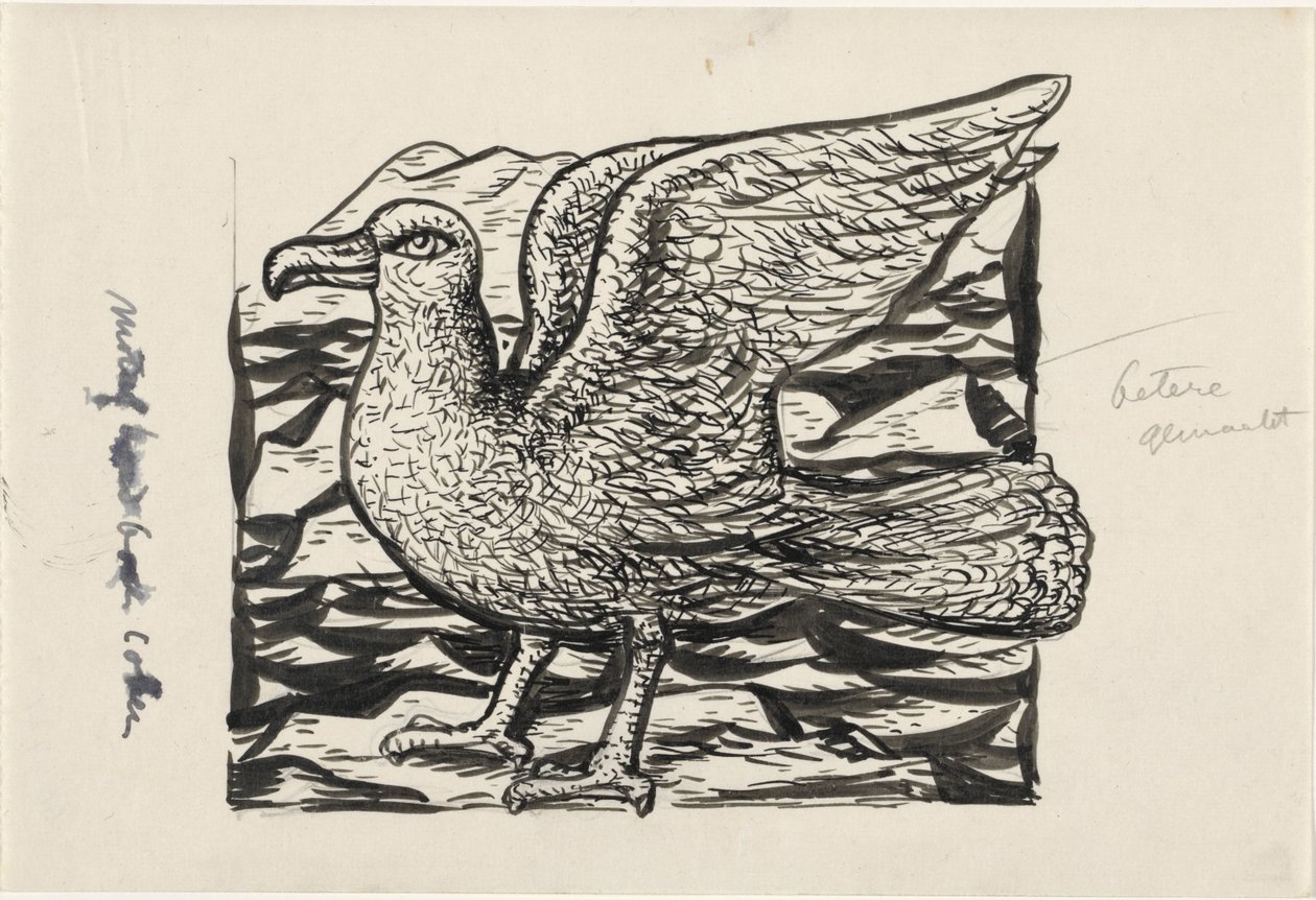 gaivota de Leo Gestel