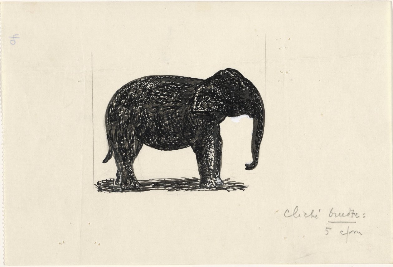 Elefante de Leo Gestel