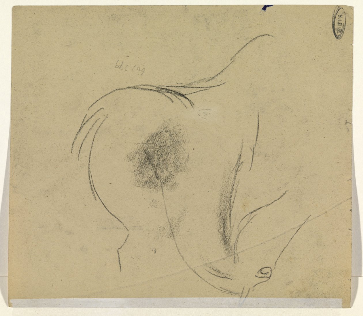 cabeça de cavalo de Leo Gestel