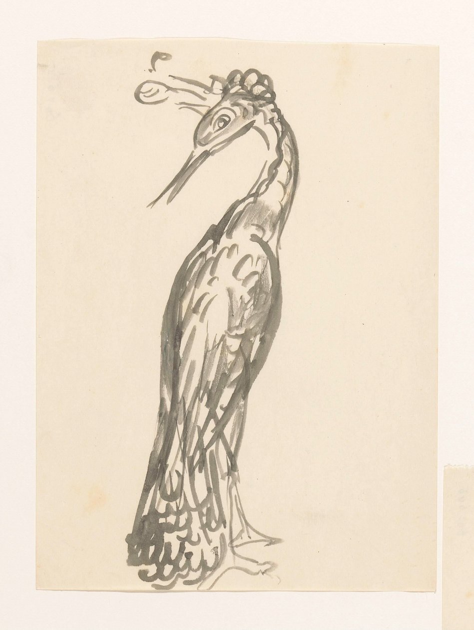 Garça com a cabeça virada para trás de Leo Gestel