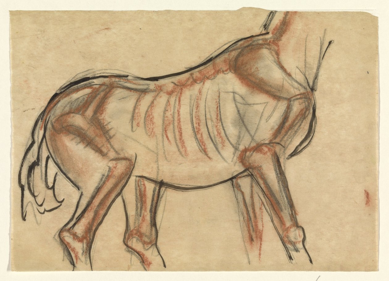 Esqueleto de um cavalo de Leo Gestel