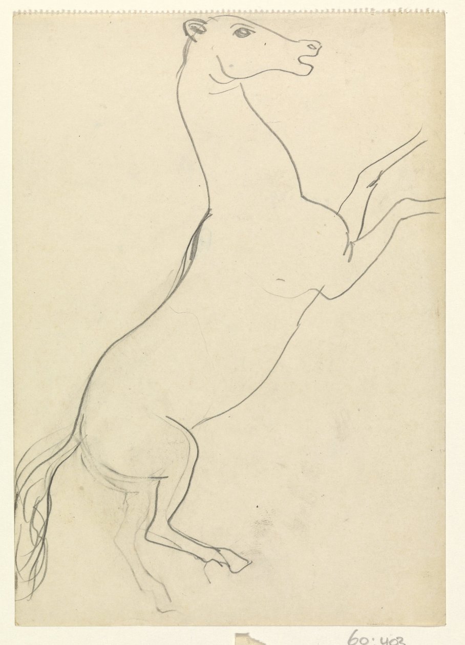 Criação de cavalo sem crina de Leo Gestel