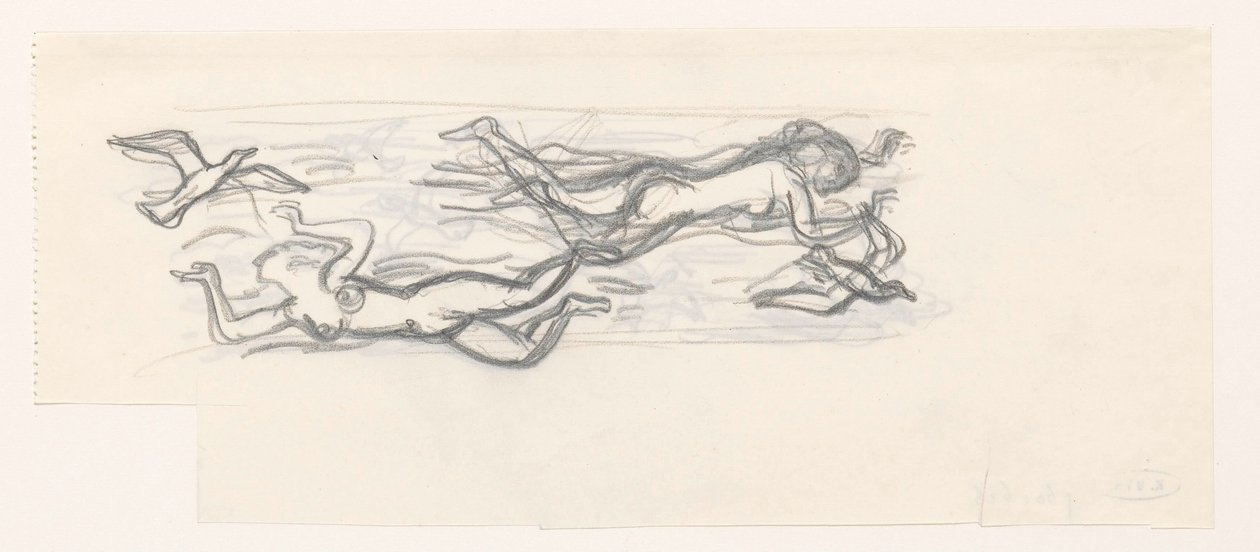 Flutuando mulheres nuas no céu entre as gaivotas de Leo Gestel