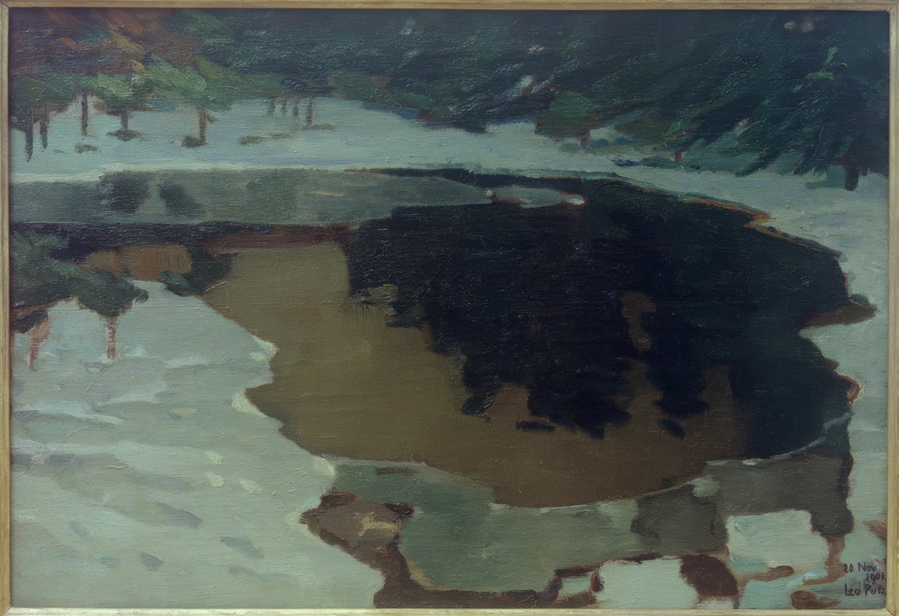 Lago mouro no inverno de Leo Putz