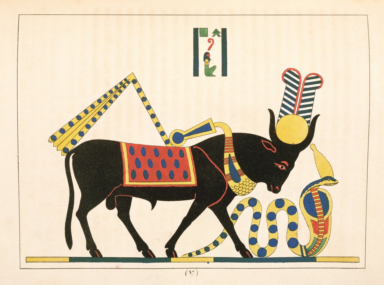 O touro Apis, ilustração do panteão egípcio: coleção de personagens mitológicos do antigo Egito por Jean-Francois Champollion, publicado 1823-25 de Leon Jean Joseph Dubois