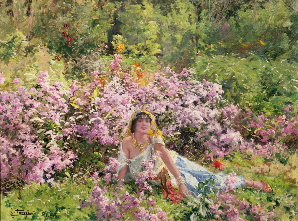 Beleza argelina em um campo lilás de Leon Louis Tanzi