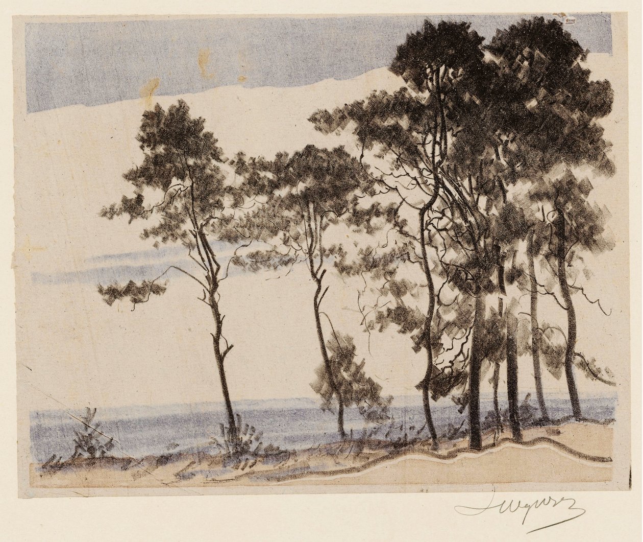 Pinheiros Não II. de Leon Wyczokowski