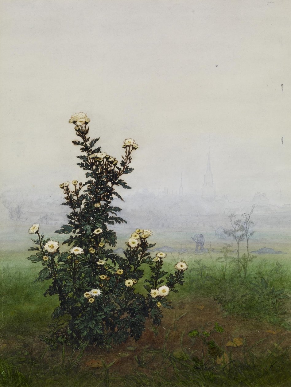 Tanaceto diante de uma paisagem, Issy-les-Moulineaux (?) de Léon Bonvin