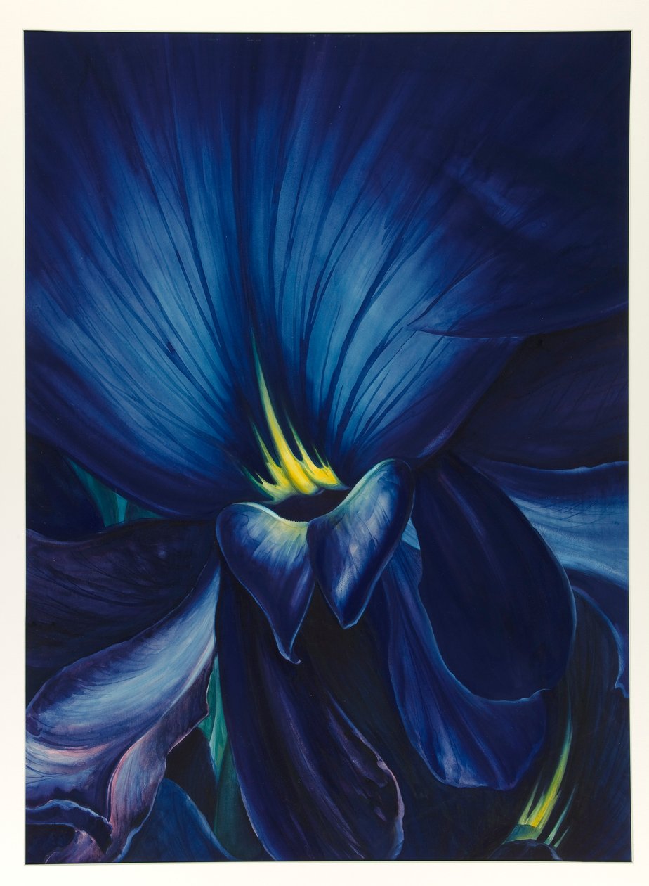 Delphinium chinês de Leon Carroll