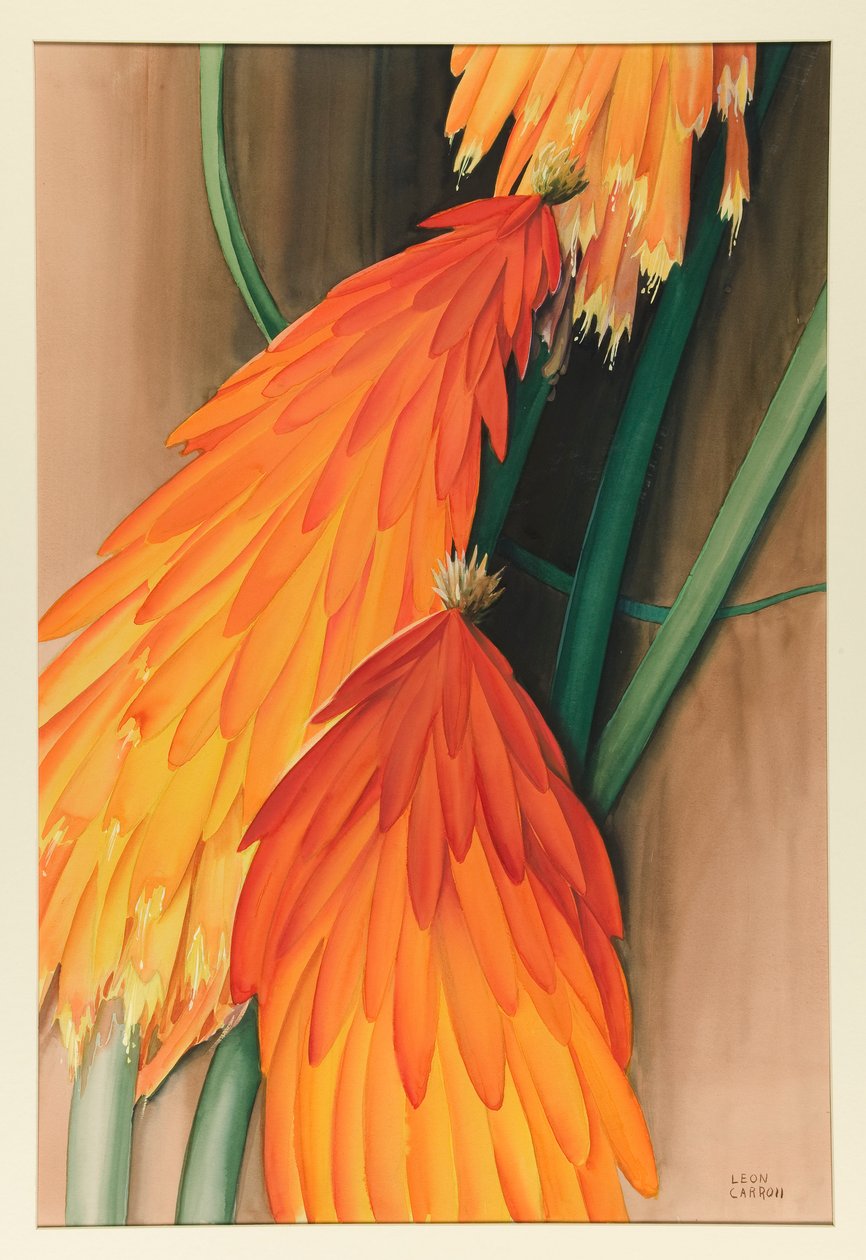 Skyrocket (Póquer Quente Vermelho) de Leon Carroll