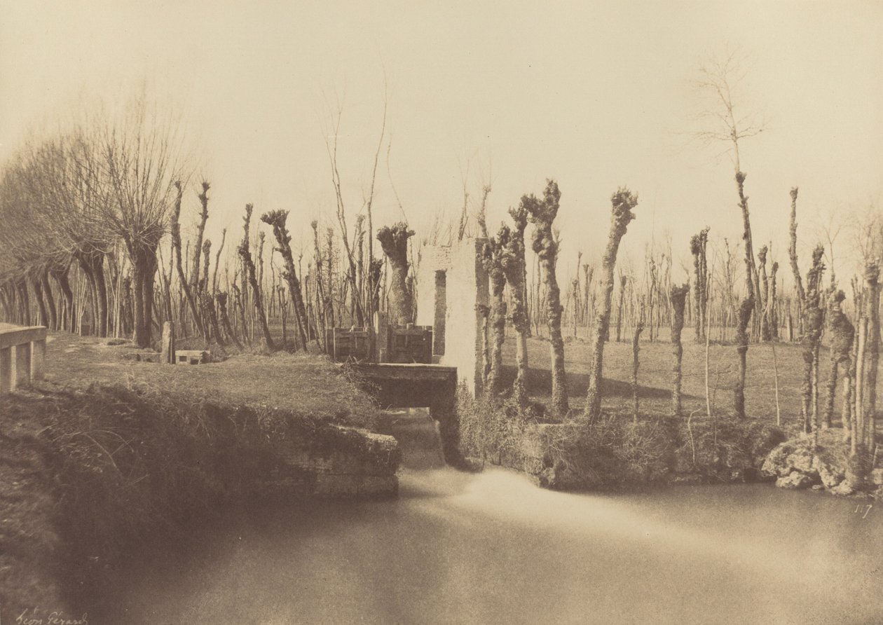 Paisagem, Montebello,c. 1860 (foto) de Léon Gérard