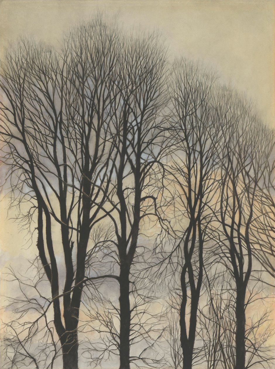 Árvore no céu de Leon Spilliaert