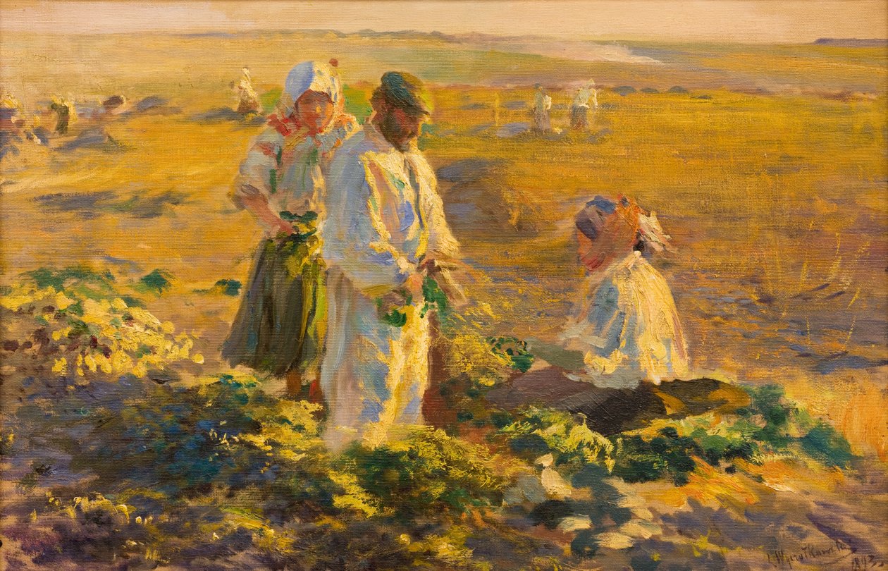 Levantamento da beterraba de Leon Wyczolkowski