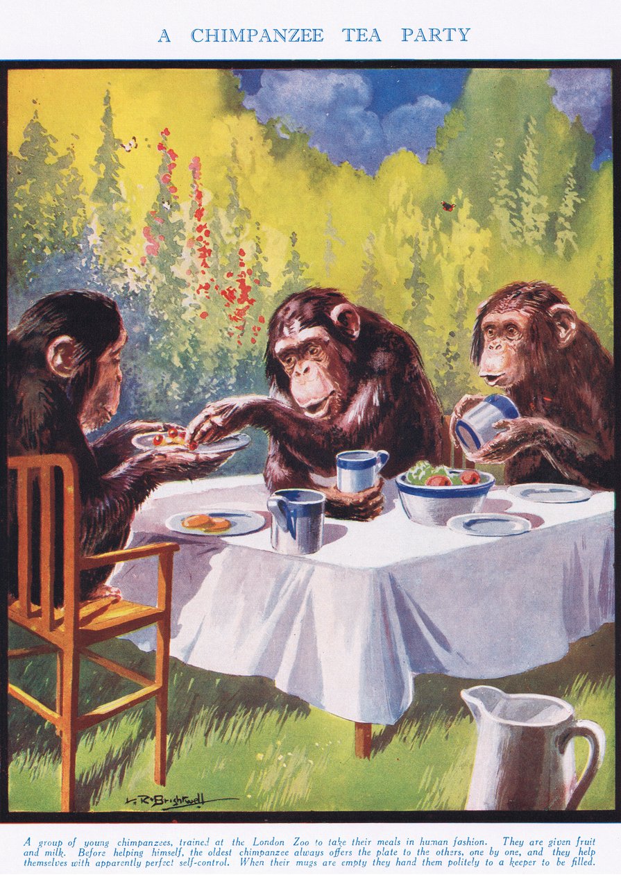 Um Chimpanzé Tea Party, ilustração da "The Science of Life" de Leonard Robert Brightwell