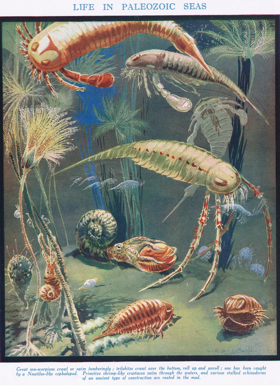A vida nos mares paleozóicos, ilustração da "ciência da vida" de Leonard Robert Brightwell