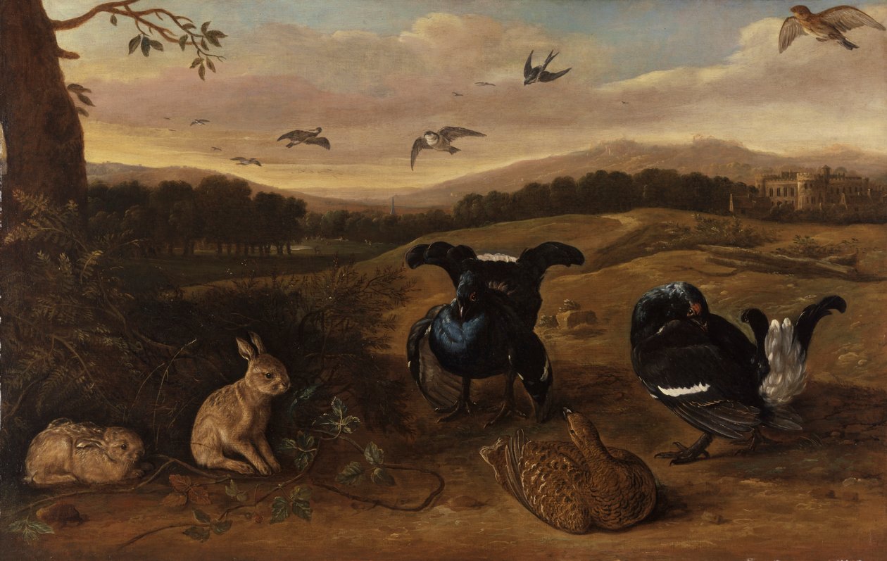 Jogo Preto, Coelhos e Andorinhas num Parque de Leonard Knyff
