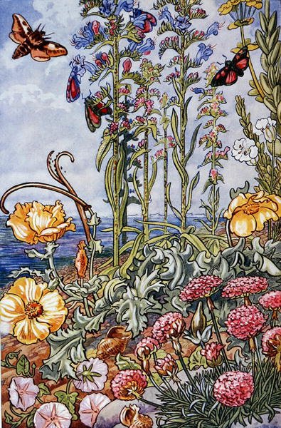 Ilustração de 