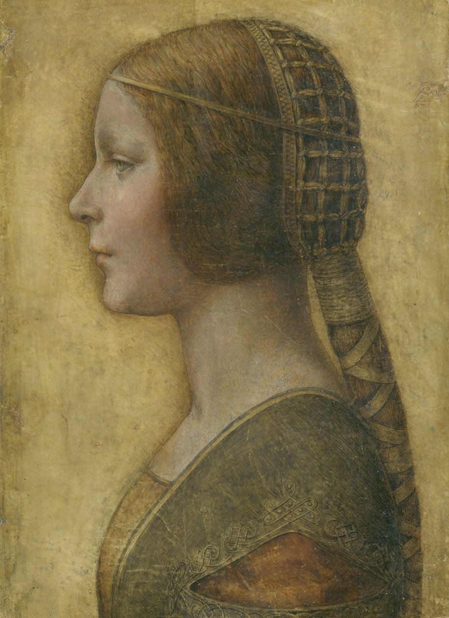 Bela princesa de Leonardo da Vinci