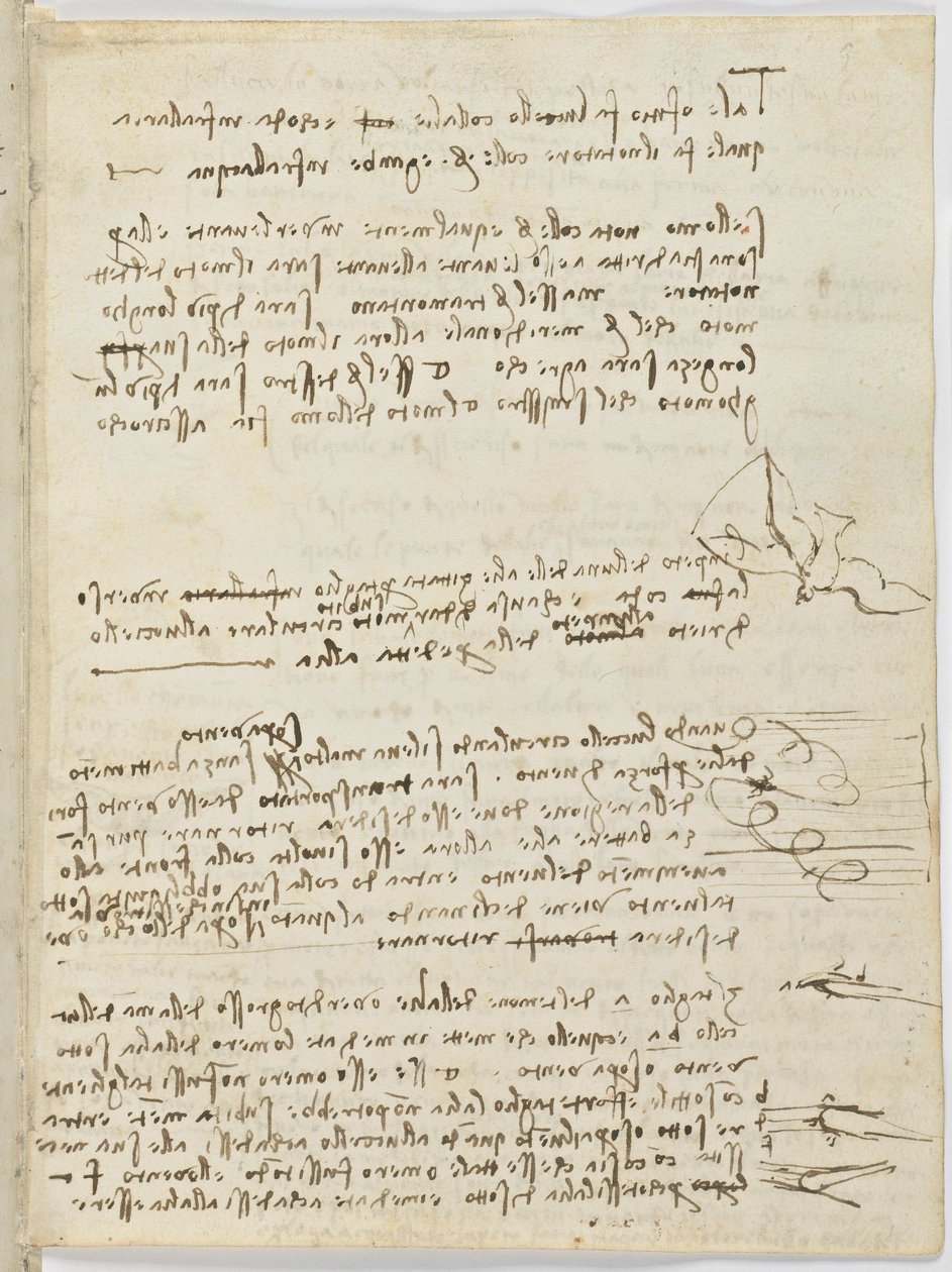Código de Voo das Aves, c. 1505-06, manuscrito de papel, cc. 18, folha 10 recto de Leonardo da Vinci