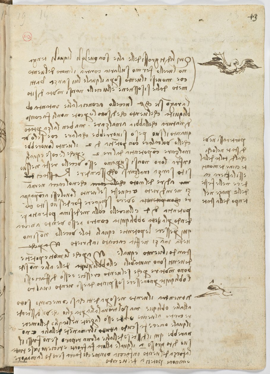 Código de Voo das Aves, c. 1505-06, manuscrito de papel, cc. 18, folha 13 recto de Leonardo da Vinci