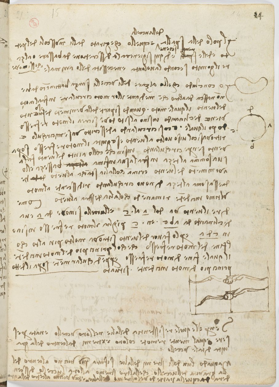 Código de Voo das Aves, c. 1505-06, manuscrito de papel, cc. 18, folha 14 recto de Leonardo da Vinci