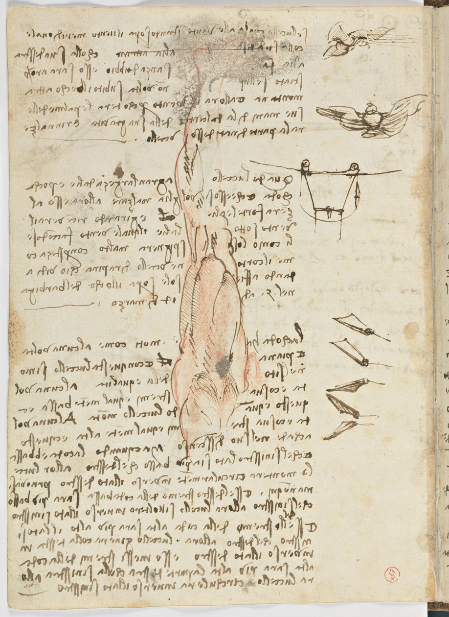 Código de Voo das Aves, c. 1505-06, manuscrito de papel, cc. 18, folha 17 verso de Leonardo da Vinci