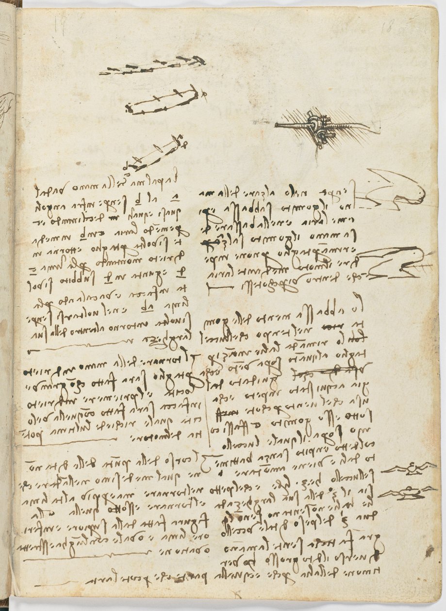 Código de Voo das Aves, c. 1505-06, manuscrito de papel, cc. 18, folha 18 recto de Leonardo da Vinci
