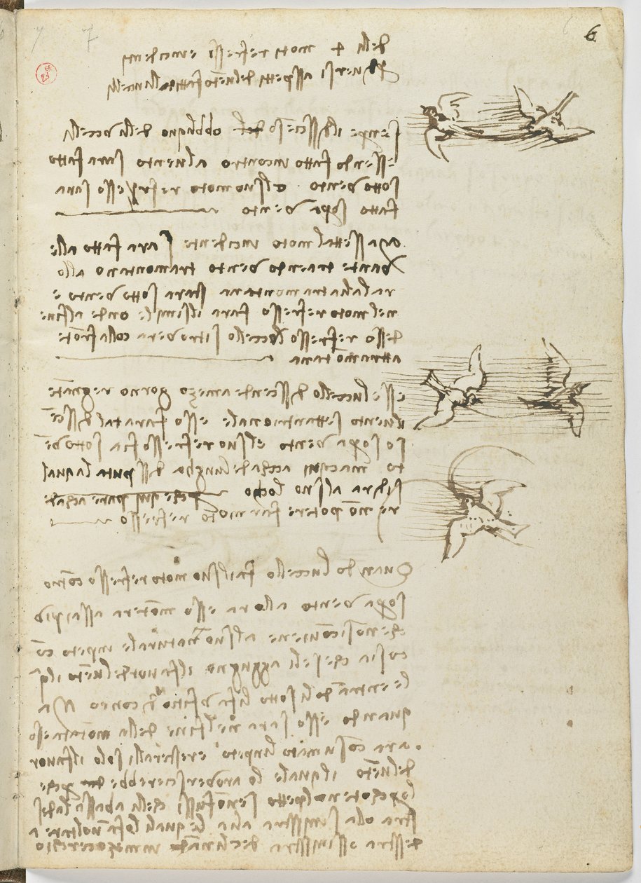 Código de Voo das Aves, c. 1505-06, manuscrito de papel, cc. 18, folha 6 recto de Leonardo da Vinci
