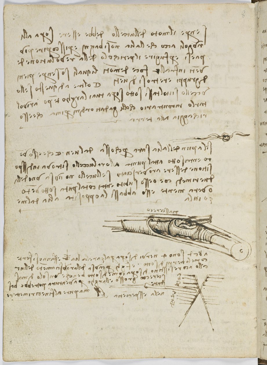 Código de Voo das Aves, c. 1505-06, manuscrito de papel, cc. 18, verso da folha 6 de Leonardo da Vinci