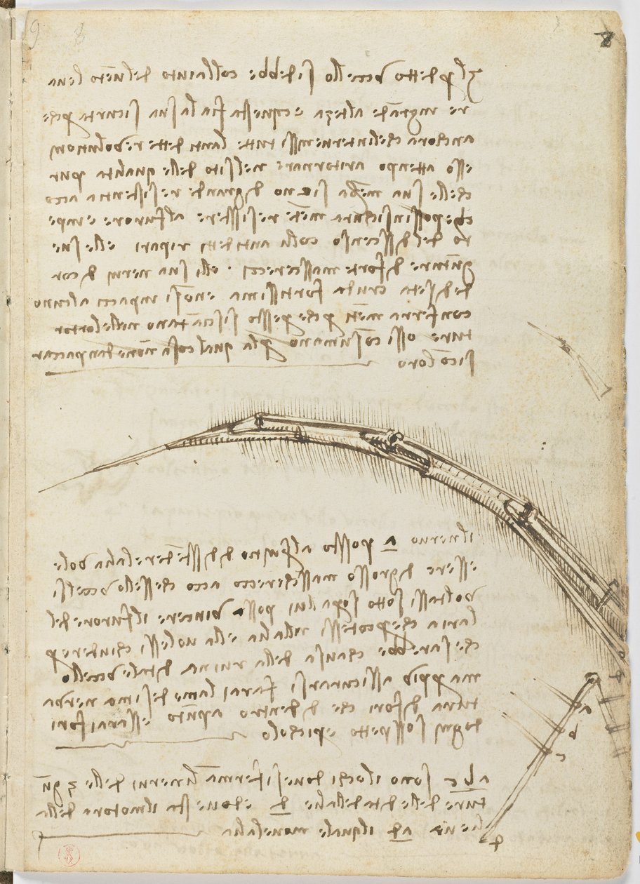 Código de Voo das Aves, c. 1505-06, manuscrito de papel, cc. 18, folha 7 recto de Leonardo da Vinci