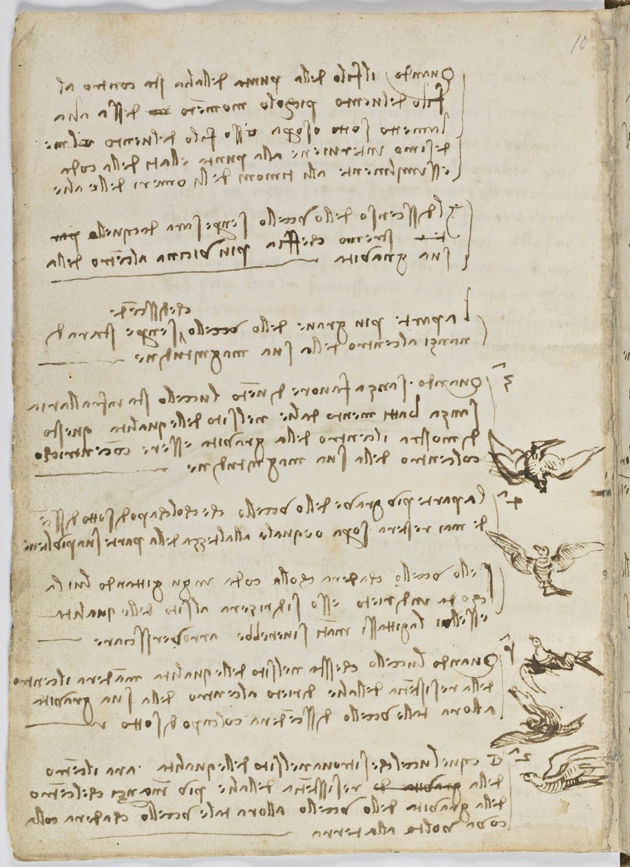 Código de Voo das Aves, c. 1505-06, manuscrito de papel, cc. 18, folha 7 verso de Leonardo da Vinci