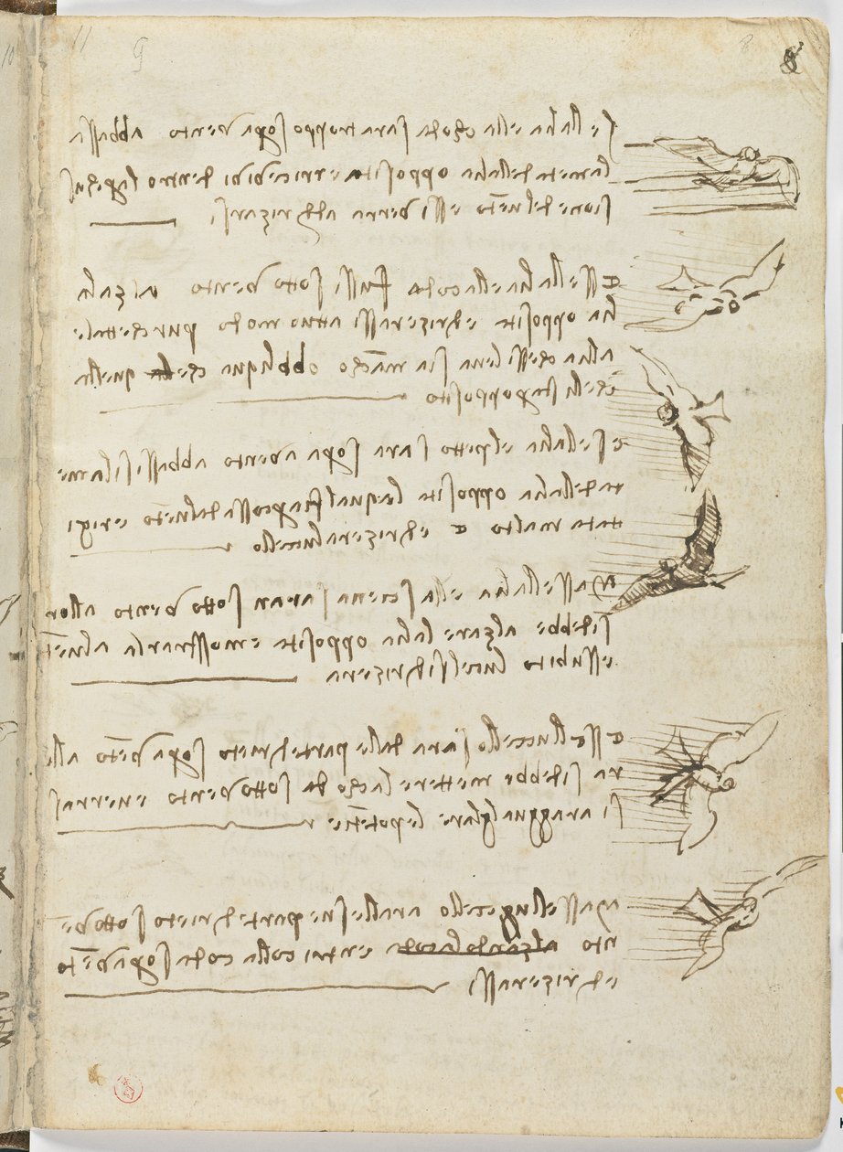 Código de Voo das Aves, c. 1505-06, manuscrito de papel, cc. 18, folha 8 recto de Leonardo da Vinci