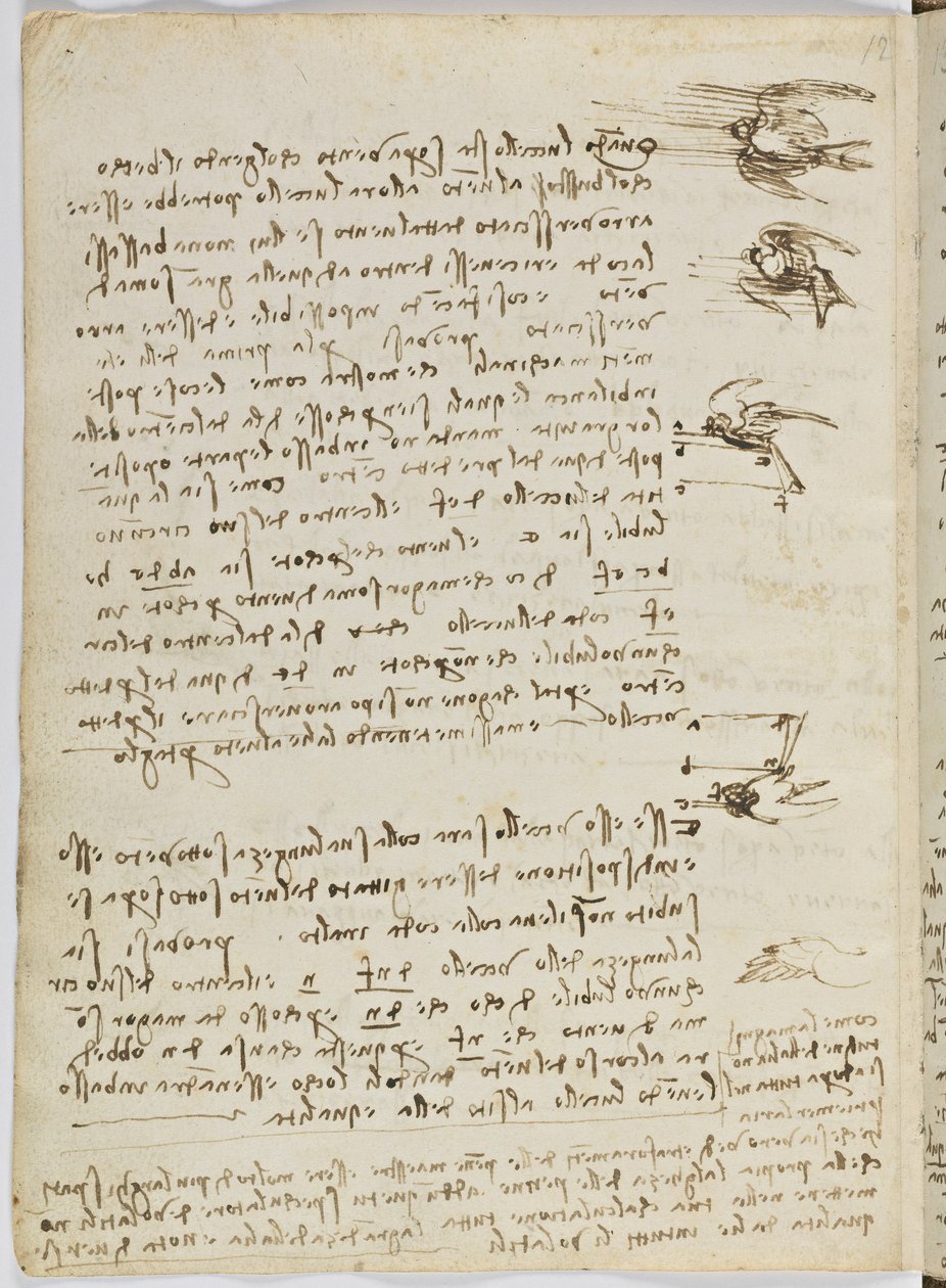 Código de Voo das Aves, c. 1505-06, manuscrito de papel, cc. 18, folha 8 verso de Leonardo da Vinci