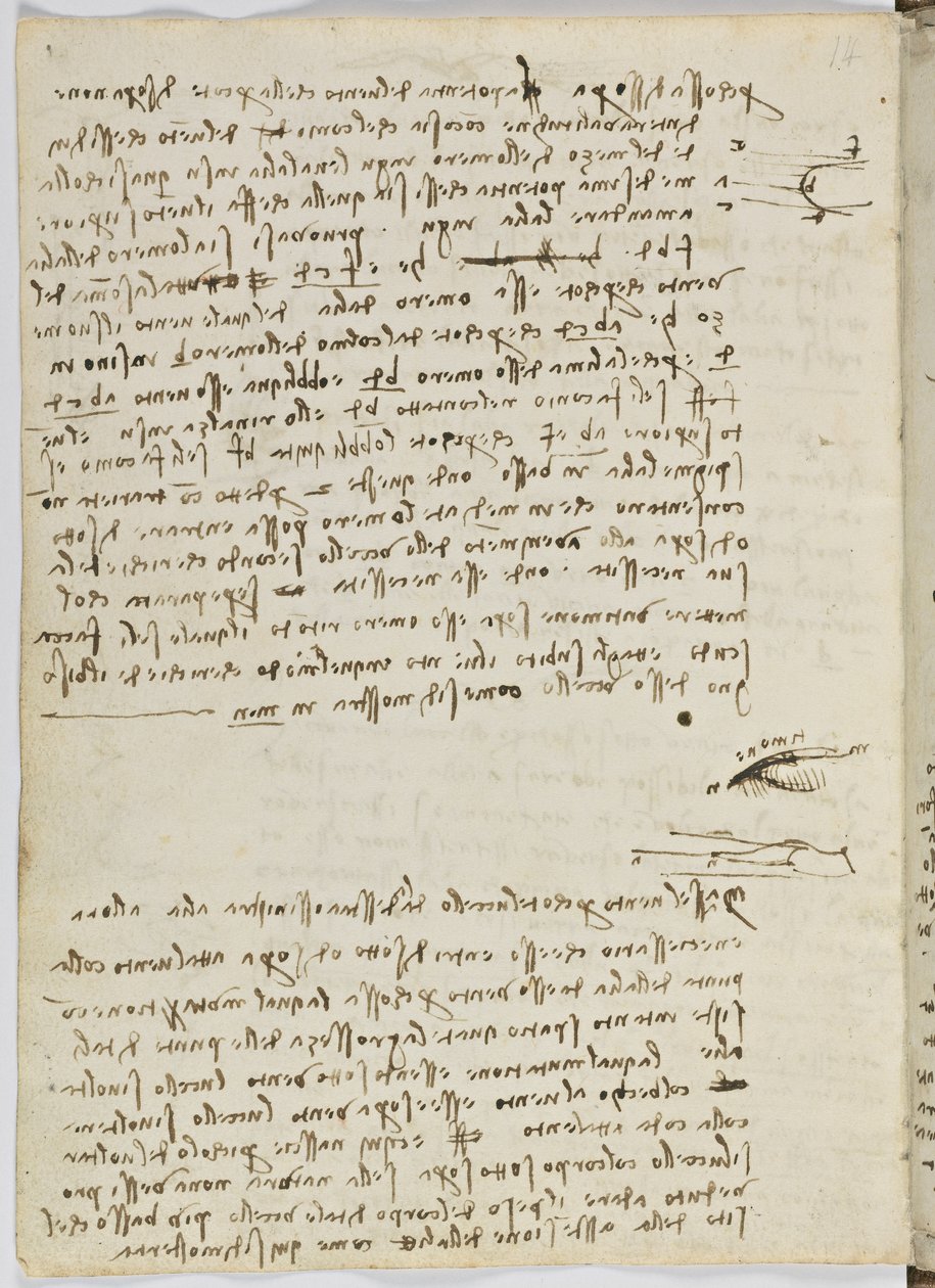 Código de Voo das Aves, c. 1505-06, manuscrito de papel, cc. 18, folha 9 verso de Leonardo da Vinci