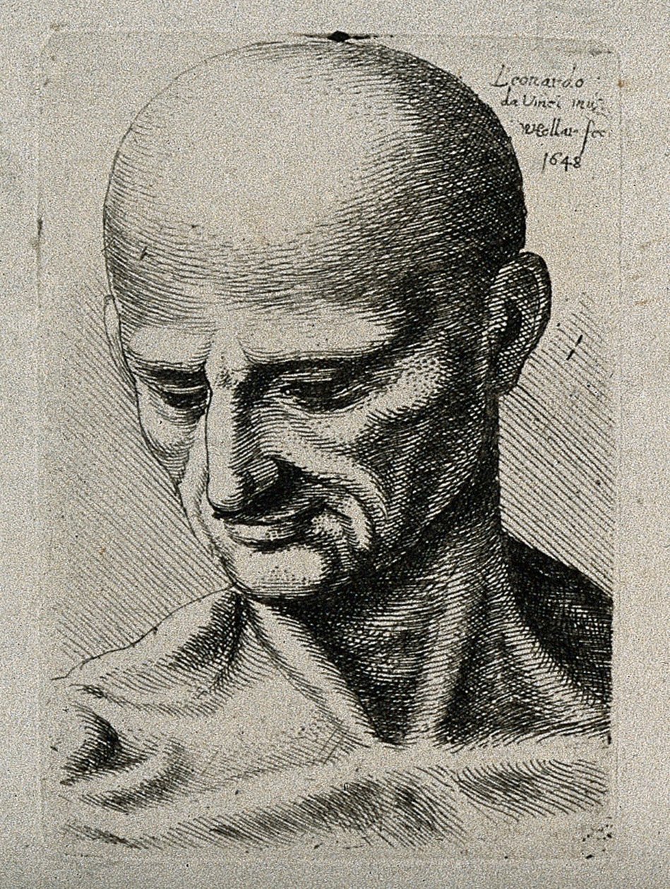 Busto de um macho magro, olhando para o seu canto inferior direito de Leonardo da Vinci