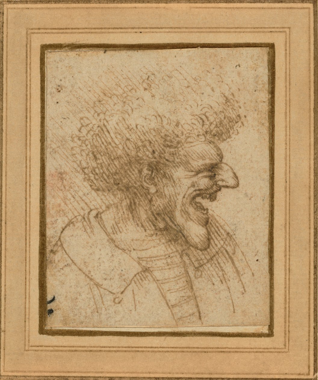 Caricatura de um homem com cabelo espesso, c.1495 de Leonardo da Vinci