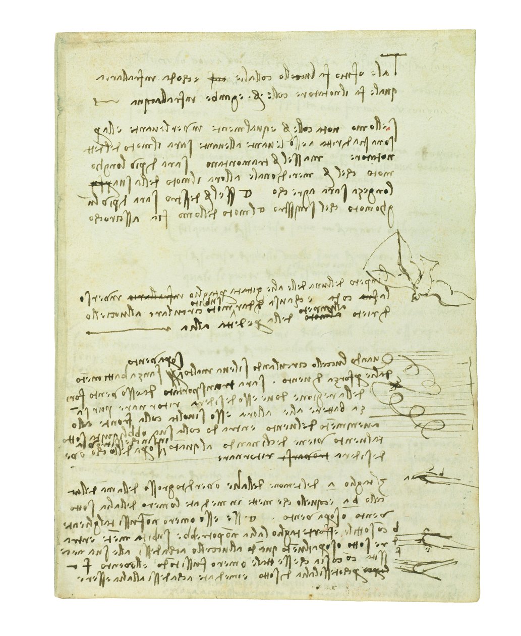 Codex no voo dos pássaros, folha 10 reto de Leonardo da Vinci
