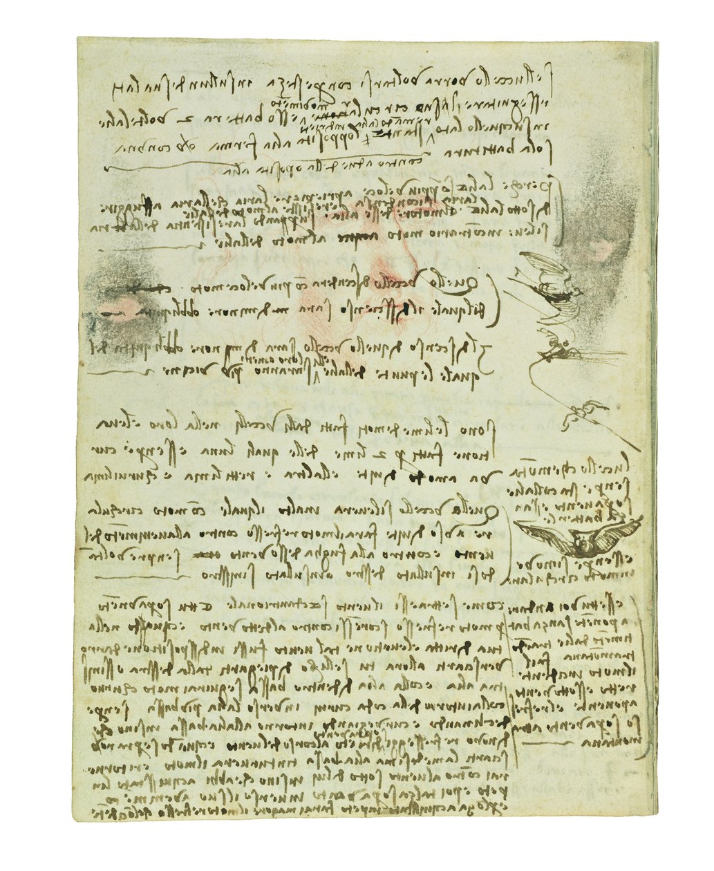 Codex sobre o voo dos pássaros, folha 10 verso de Leonardo da Vinci